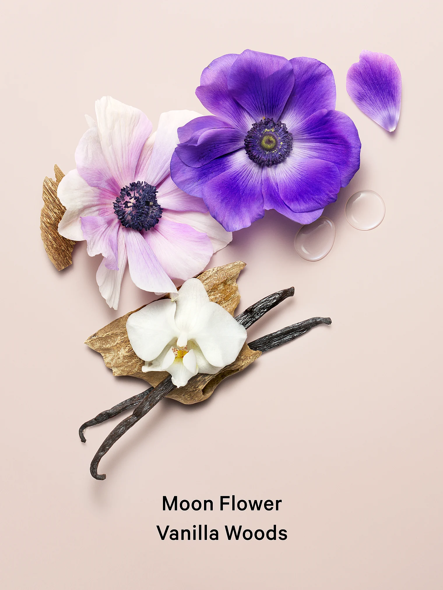 Victoria's Secret „Midnight Bloom“ kūno losjonas su žvilgesiu - Image 2