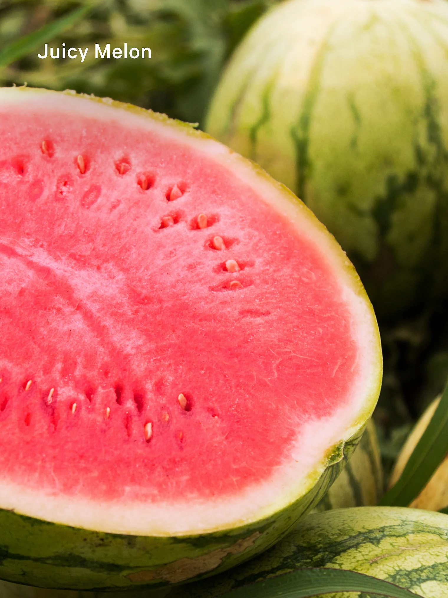 Victoria's Secret JUICY MELON lūpų blizgesys - Image 4
